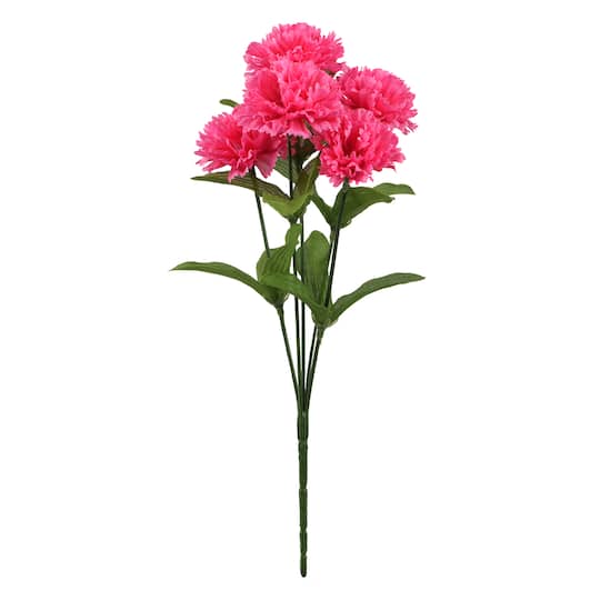 Hot Pink Carnation Bush by Ashland&#xAE;